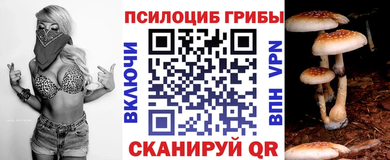 купить наркотик  Луга  Галлюциногенные грибы прущие грибы 